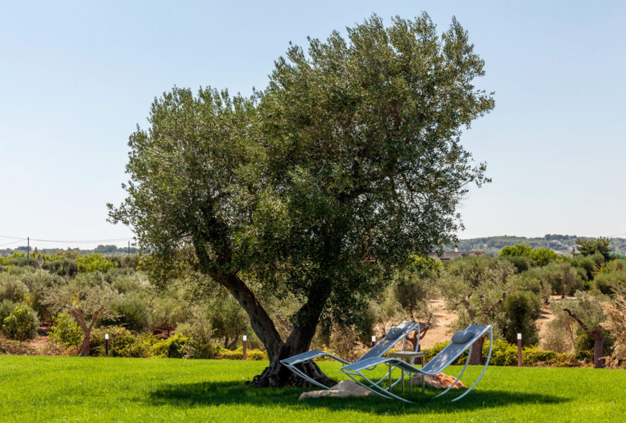 Trullo Fichimori Dolcefarniente 6
